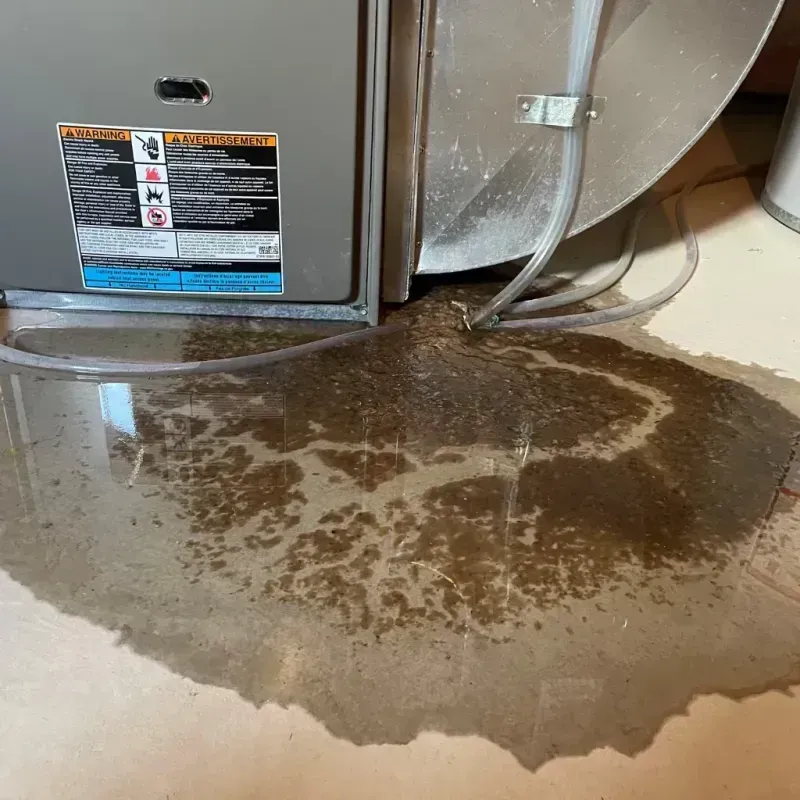 Appliance Leak Cleanup in Rotonda West, FL